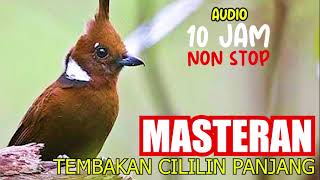 Download lagu MASTERAN SUARA TEMBAKAN CILILIN PANJANG UNTUK BURUNG KICAU, AUDIO 10 JAM NON STOP mp3