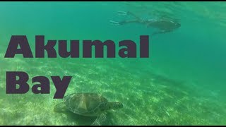 preview picture of video 'Swimming with Sea Turtles in Akumal Bay - Riviera Maya, Mexico'