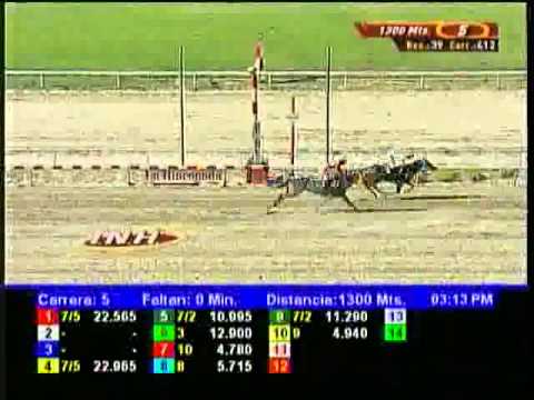 Resumen Sábado, 24 de Mayo de 2014 - La Rinconada