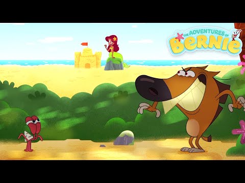 The New Adventures of Bernie 💥 THE BEGINNING OF A NEW ADVENTURE 🌴 Zig & Sharko - Cartoons for Kids