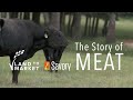 The Story Of Meat | Regenerative Agriculture Documentary