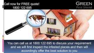 Hire Professional Pest Controllers