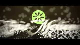 Crystal Mountain wedding Emily + Ryan Trailer