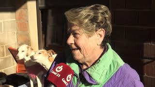 El refugi de gossos de Ginestar rep 22.000 quilos de pinso