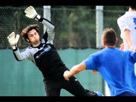 MICHELE ARCARI THE RECORD