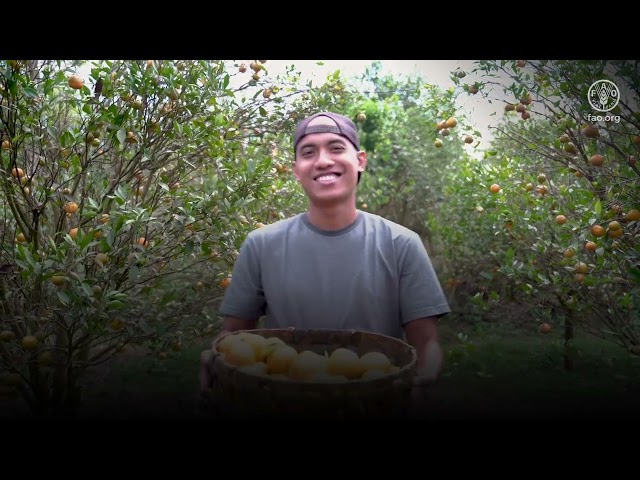 [Good Business] ‘Indio-genius’: Geographical indications as intellectual property for IPs