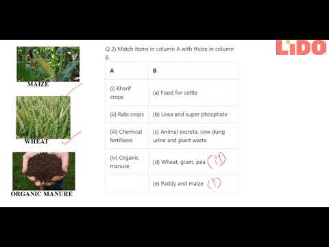 Q 2 Match items in column A with those in column B ... Q 2 Match items in column A with those in column B ...