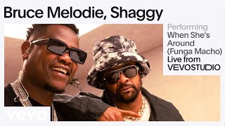 Bruce Melodie Shaggy - When Shes Around (Funga Mac
