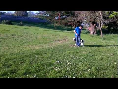 Ciprian and Dexter at the park