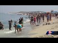 Beachgoers witness shark attack seal feet away from shore