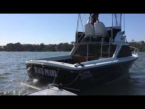 Bertram 25