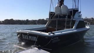 Bertram 25 with mercruiser 496ho 8.1L vid 2