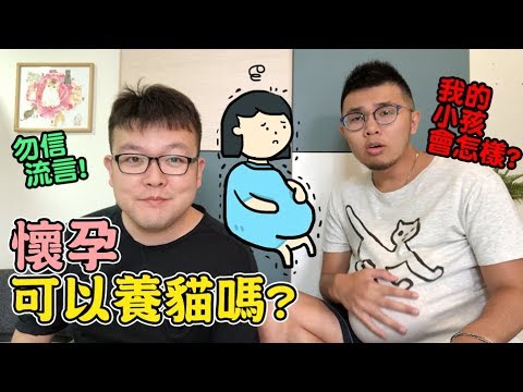 孕婦養貓 注意