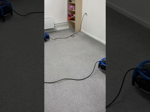 Химчистка ковролина в Краснодаре