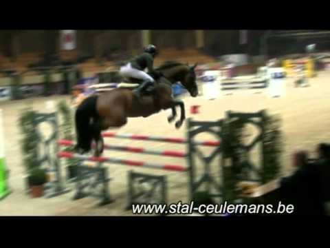 Jericho Dwerse Hagen, Hengstencompetitie Moorsele, Barrage 6 years old, 21-03-2015