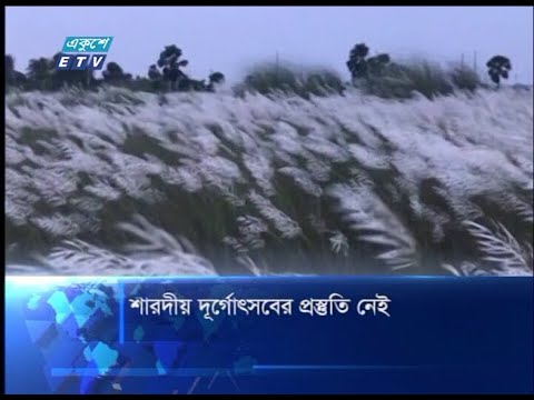 শারদীয় দূর্গোৎসবের প্রস্তুতি নেই