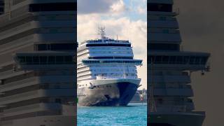 Nieuw Amsterdam 🛳️ #holland #travel #caribbean #cruiseship #cruise #vacation #cruiselife #ocean