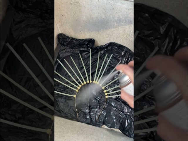 Vídeo relacionado con HIQE-FL Diademas de Luces LED,16 Piezas Diademas Luminosas con Plumas LED,Pluma LED Diadema Para Mujeres,Plumas De Diadema De Corona LED,Halloween,Navidad,Decoración de Fiestas
