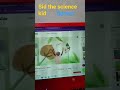 Sid The Science Kid Sprout Pbskids