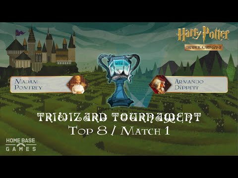 Pomfrey vs Dippett// Triwizard Tournament Top 8 //...