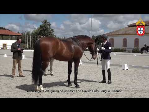 220424 6 Jockey - Aprovação de Garanhões