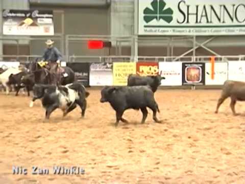 Nic Zan Winkle - 2007 Black NRCHA Gelding for Sale