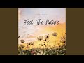 Peaceful Guitar Instrumental Hymns