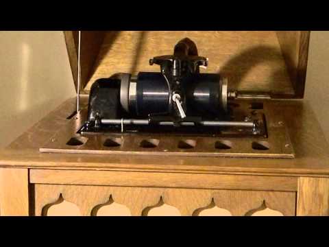 When You Wore A Tulip