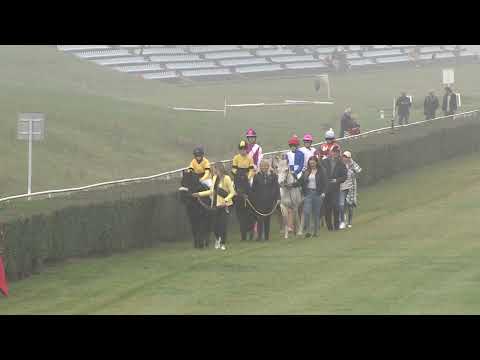 MO - 29. 10. 2022 - Pony Liga - II. oddělení