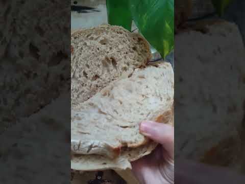 Unlock the Hidden Power of Sourdough The Art of Patience and Persistence#sourdoughstarterBread