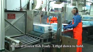 Fishing and processing on a freezing trawler.