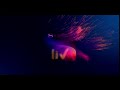 Sony Liv Originals 2020