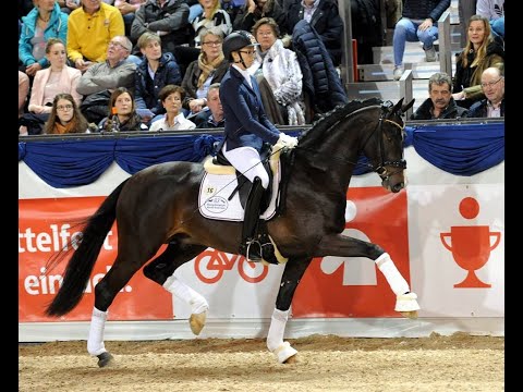 Diamond Deluxe stellt 1. Reservesieger in Westfalen