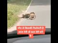 Marne Wala Hai Bhagvan Bachane Wala Hai Bhagvan