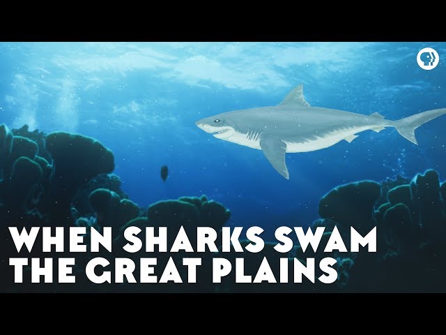 Video pronuncia di Great Plains in Inglese