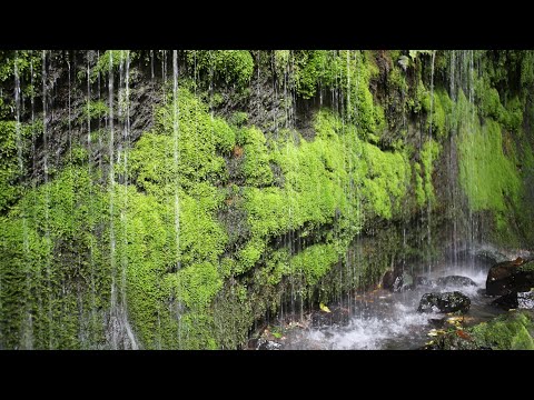 新阿蘇紀行（27.清水滝）