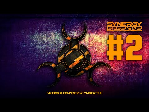 Synergy Sessions - Episode 2 (KIDDSTOCK BEACH FESTIVAL SPECIAL)