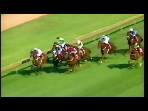 1998 Ranvet Stakes - Gold Guru vs Might And Power