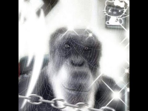 🎹 HEROINWATER x YANIX x JERSEY CLUB Type Beat - 'заберу' (prod. eternalmoney)