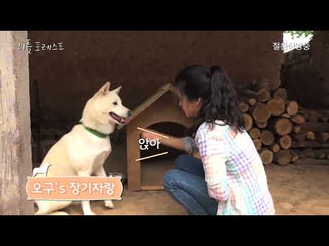 [리틀포레스트] 오구 현장이야기