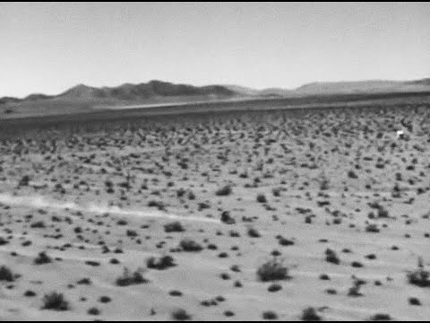 Ikebe Shakedown - Horses [OFFICIAL VIDEO]