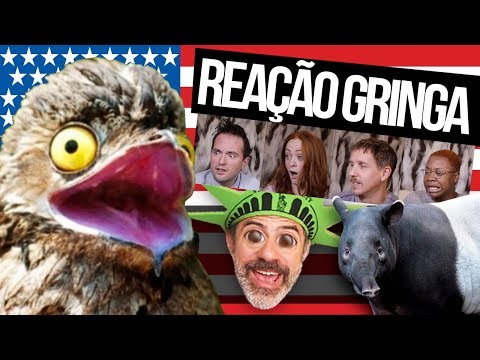 FOREIGNERS REACT TO MORE BRAZILIAN ANIMALS