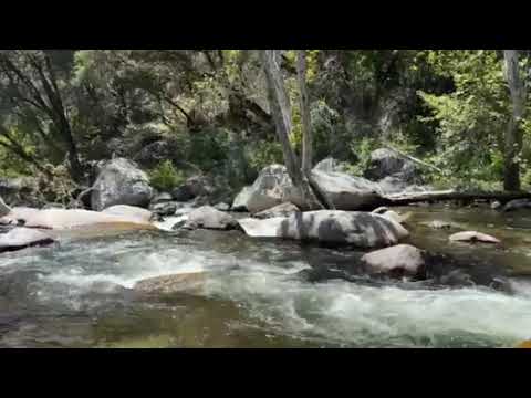 Hike from campground to Kaweah river.