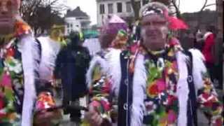preview picture of video 'Carnaval Malmedy 2014 samedi Mesnie (part 8)'