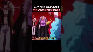 💥드디어 공개된 크로스길드의 배💥