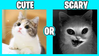 Choose Your Gift 🎁 Cute or Scary 🎁 Escolha seu presente 🎁 Fofo ou Assustador 🎁  Elige Tu Regalo 🎁