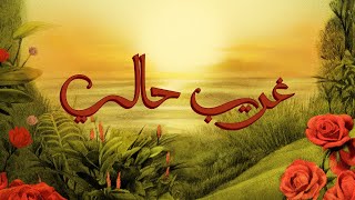 كلمات اغنية غريب حالي توو ليت