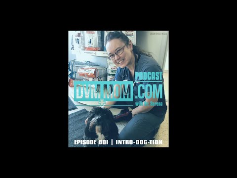 EPISODE 001 | INTRO-DOG-TION