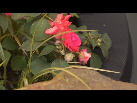 Floating Containers | At Home With P. Allen Smith