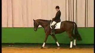 Video of Royal Angelo I